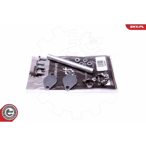 Reparationssats, EGR-ventil Esen skv 14SKV507 ESEN SKV