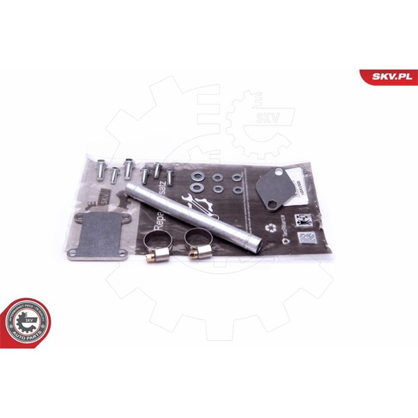 Reparationssats, EGR-ventil Esen skv 14SKV508 ESEN SKV