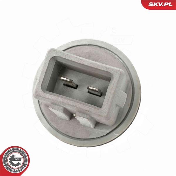Sensor, innertemperatur Esen skv 17SKV983 ESEN SKV