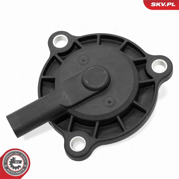 VVT-ventil Esen skv 39SKV910 ESEN SKV