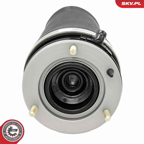 Luftfjäder, hjulupphängning, Framaxel, Vänster Esen skv 58SKV087 ESEN SKV