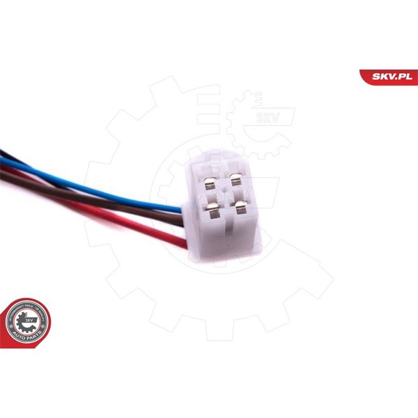 Bränslepump Esen skv 02SKV829 ESEN SKV