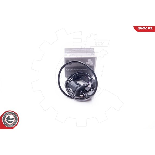 ABS-givare, Sensor, hjulvarvtal 12V, Bakaxel Esen skv 06SKV022 ESEN SKV