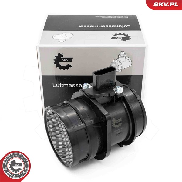 Luftmassemätare Esen skv 07SKV196 ESEN SKV