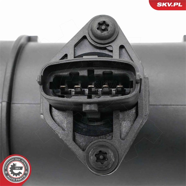 Luftmassemätare 12V Esen skv 07SKV259 ESEN SKV