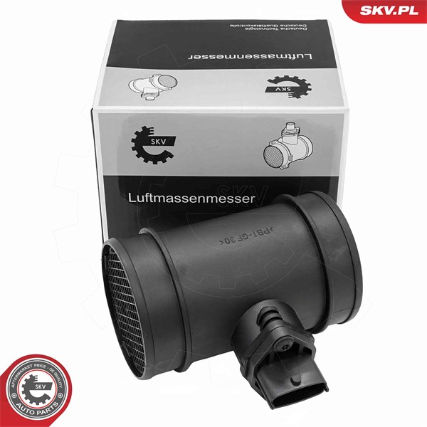 Luftmassemätare 12V Esen skv 07SKV261 ESEN SKV