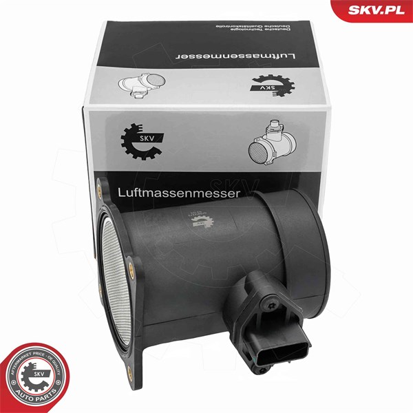 Luftmassemätare 12V Esen skv 07SKV273 ESEN SKV
