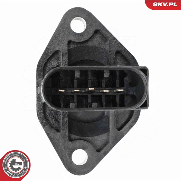 Luftmassemätare 12V Esen skv 07SKV299 ESEN SKV