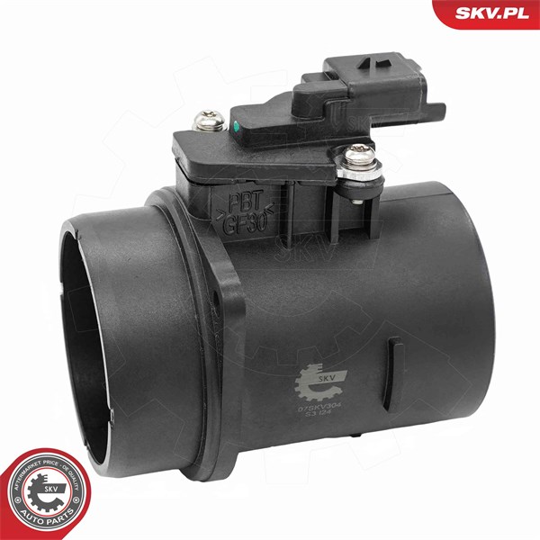 Luftmassemätare 12V Esen skv 07SKV304 ESEN SKV