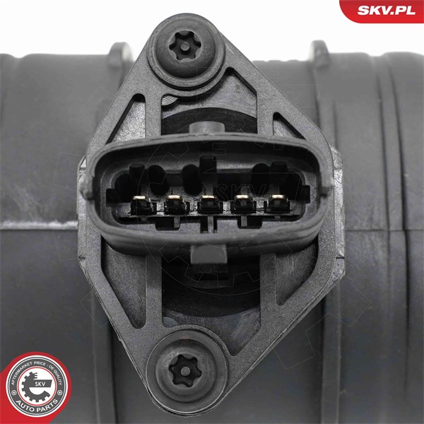Luftmassemätare 12V Esen skv 07SKV307 ESEN SKV