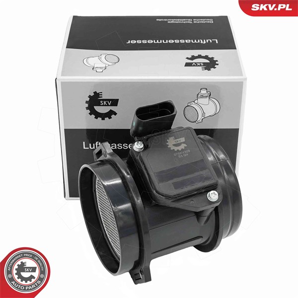 Luftmassemätare 12V Esen skv 07SKV309 ESEN SKV