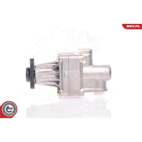 Servopump Esen skv 10SKV011 ESEN SKV