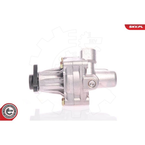 Servopump Esen skv 10SKV011 ESEN SKV Servopump Esen skv 10SKV011 ESEN SKV