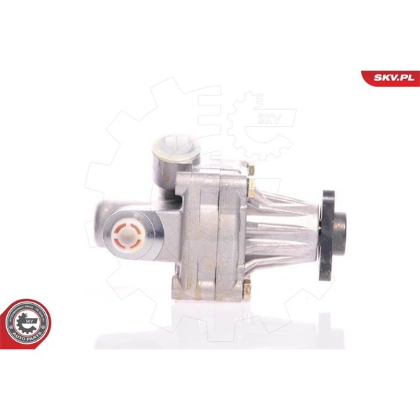 Servopump Esen skv 10SKV011 ESEN SKV Servopump Esen skv 10SKV011 ESEN SKV