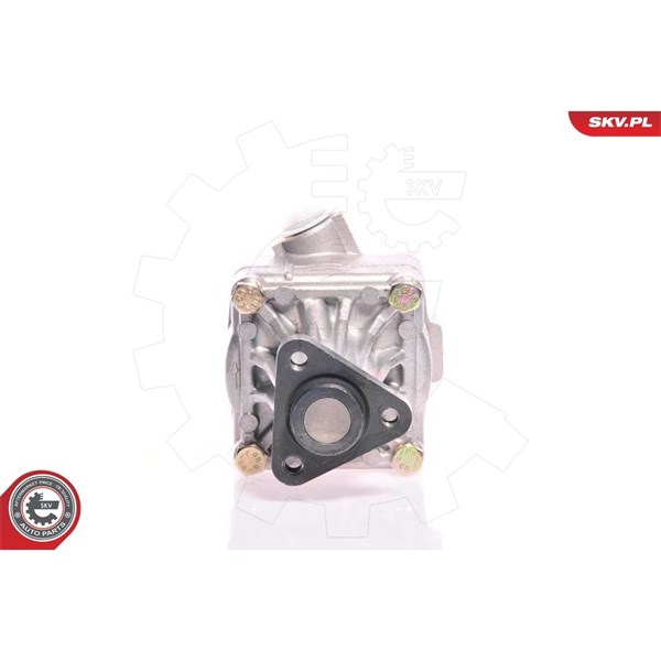 Servopump Esen skv 10SKV011 ESEN SKV Servopump Esen skv 10SKV011 ESEN SKV