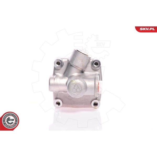 Servopump Esen skv 10SKV011 ESEN SKV