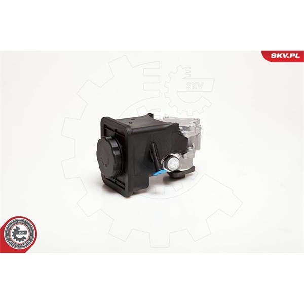 Servopump Esen skv 10SKV012 ESEN SKV