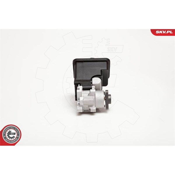 Servopump Esen skv 10SKV012 ESEN SKV