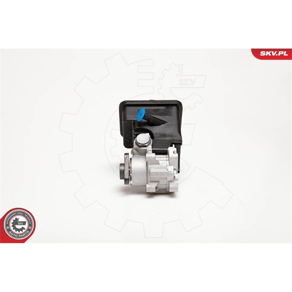 Servopump Esen skv 10SKV012 ESEN SKV