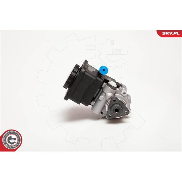 Servopump Esen skv 10SKV012 ESEN SKV