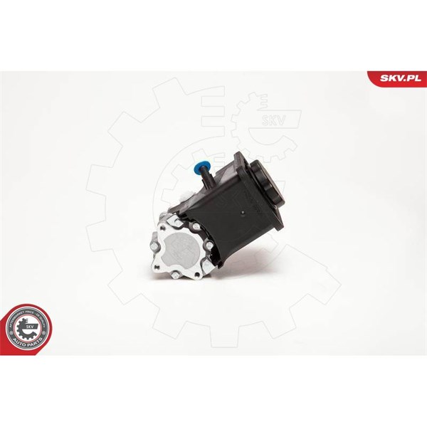 Servopump Esen skv 10SKV012 ESEN SKV