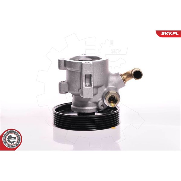 Servopump Esen skv 10SKV013 ESEN SKV Servopump Esen skv 10SKV013 ESEN SKV