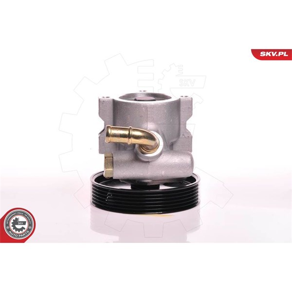 Servopump Esen skv 10SKV013 ESEN SKV