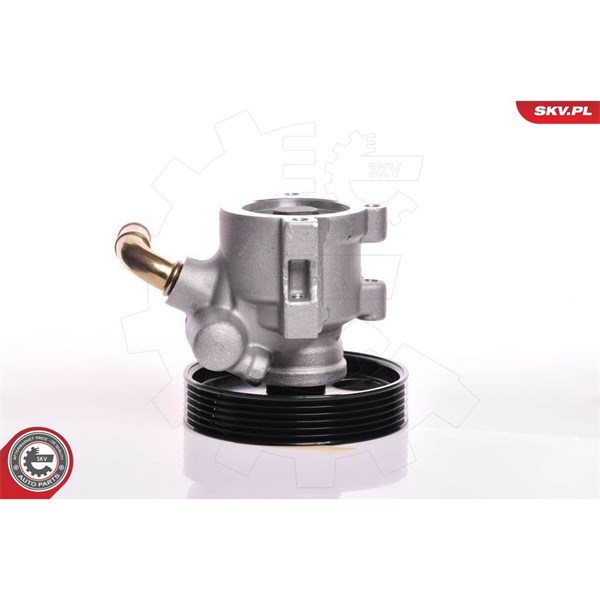 Servopump Esen skv 10SKV013 ESEN SKV Servopump Esen skv 10SKV013 ESEN SKV