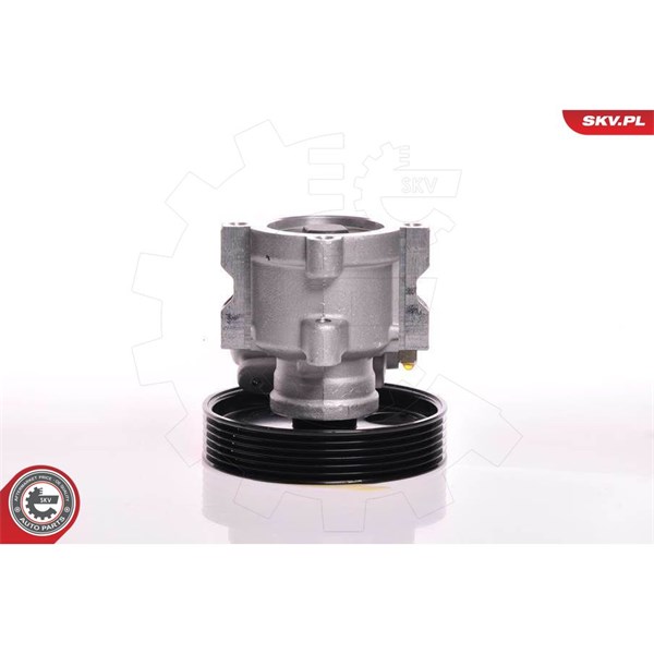 Servopump Esen skv 10SKV013 ESEN SKV Servopump Esen skv 10SKV013 ESEN SKV