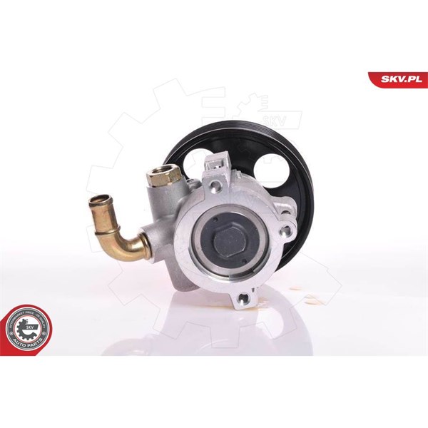 Servopump Esen skv 10SKV013 ESEN SKV Servopump Esen skv 10SKV013 ESEN SKV