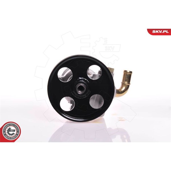 Servopump Esen skv 10SKV013 ESEN SKV Servopump Esen skv 10SKV013 ESEN SKV