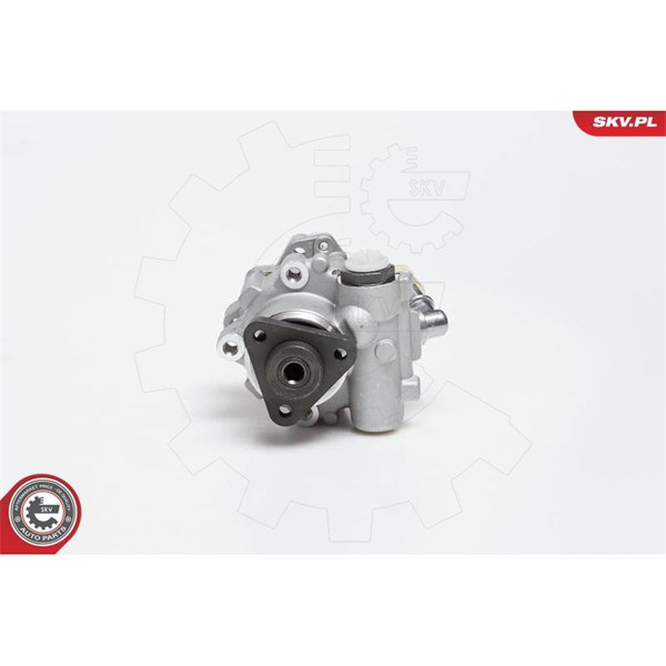 Servopump Esen skv 10SKV014 ESEN SKV