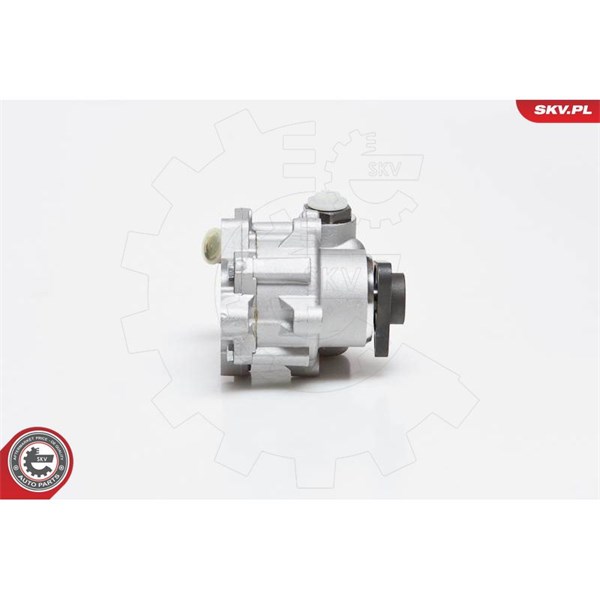 Servopump Esen skv 10SKV014 ESEN SKV