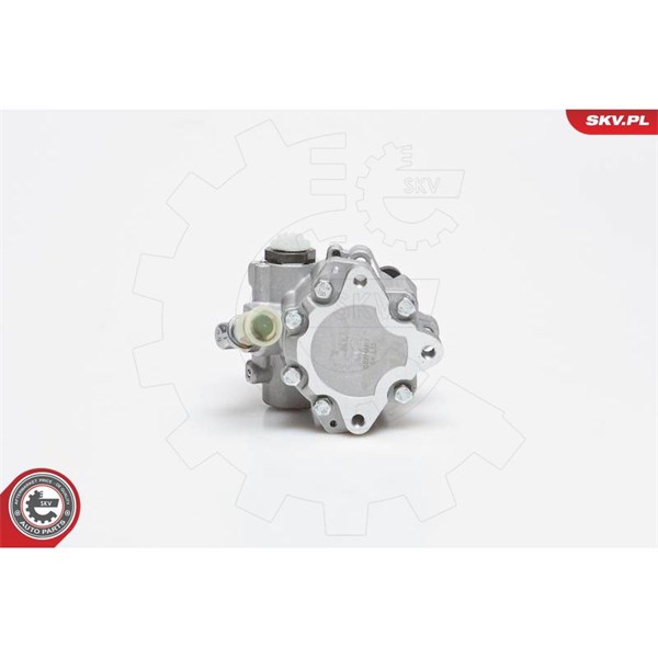 Servopump Esen skv 10SKV014 ESEN SKV