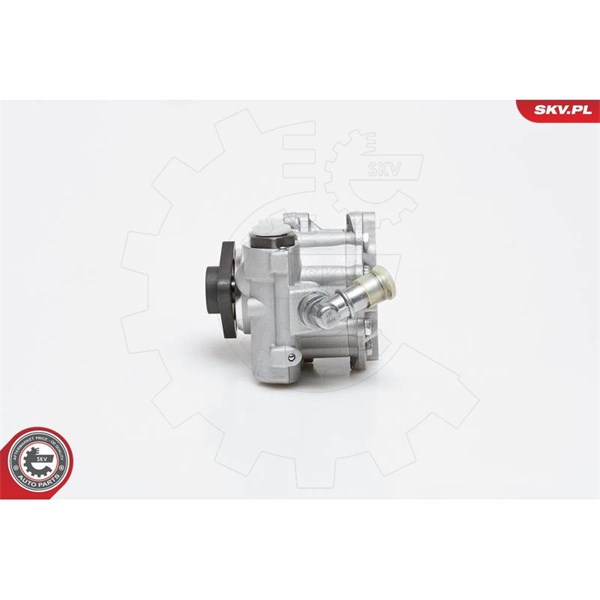 Servopump Esen skv 10SKV014 ESEN SKV