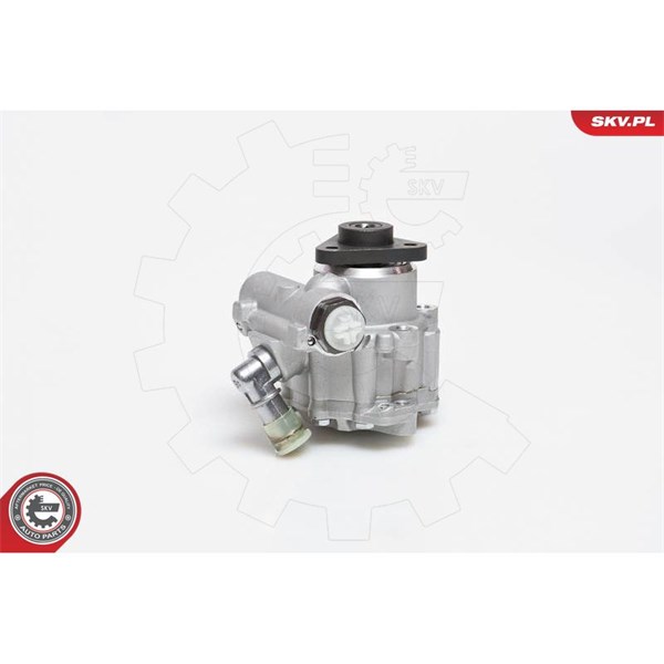 Servopump Esen skv 10SKV014 ESEN SKV