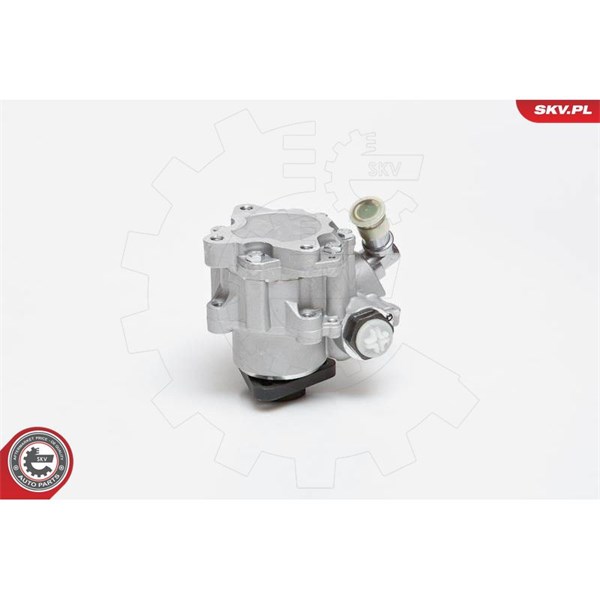 Servopump Esen skv 10SKV014 ESEN SKV