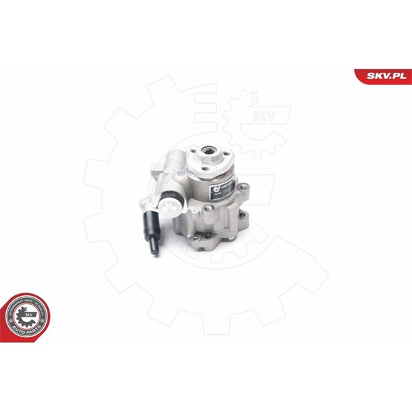 Servopump Esen skv 10SKV016 ESEN SKV