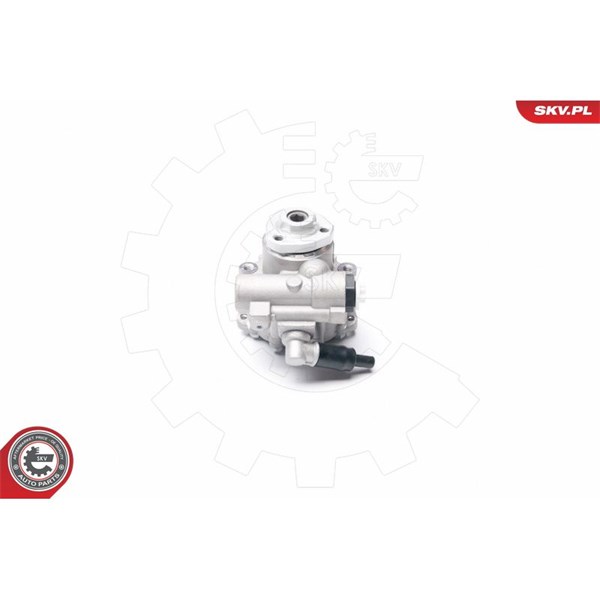 Servopump Esen skv 10SKV016 ESEN SKV