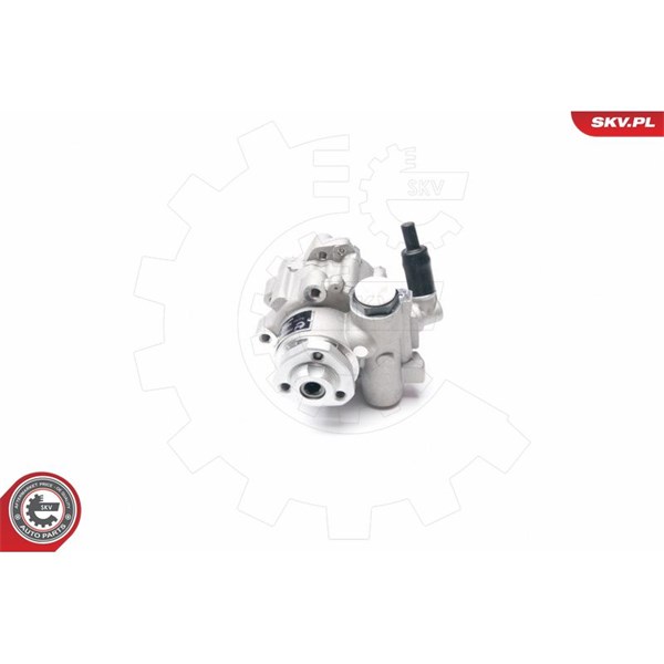 Servopump Esen skv 10SKV016 ESEN SKV