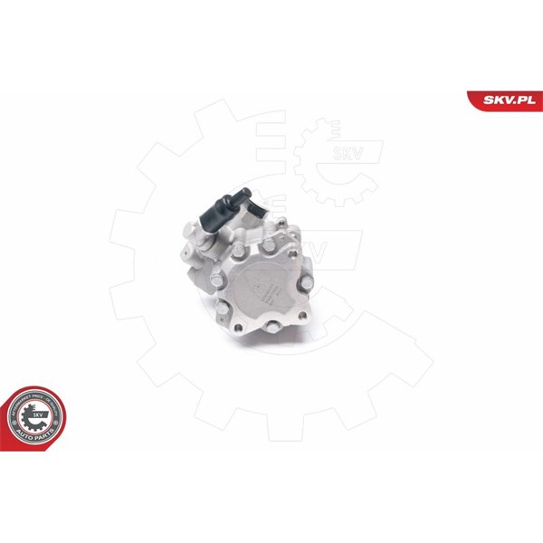 Servopump Esen skv 10SKV016 ESEN SKV