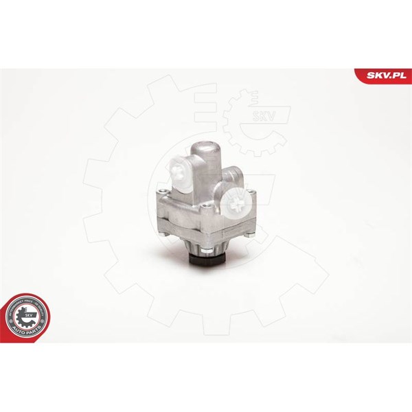 Servopump Esen skv 10SKV017 ESEN SKV