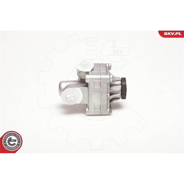 Servopump Esen skv 10SKV017 ESEN SKV Servopump Esen skv 10SKV017 ESEN SKV