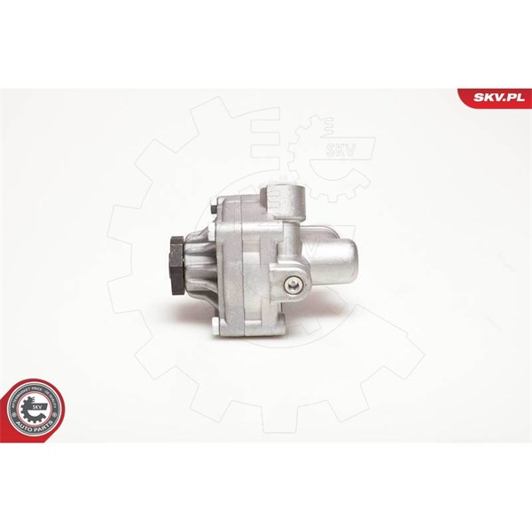 Servopump Esen skv 10SKV017 ESEN SKV Servopump Esen skv 10SKV017 ESEN SKV