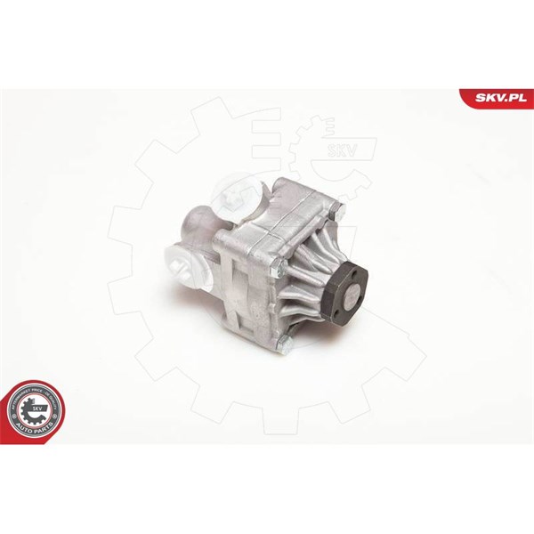 Servopump Esen skv 10SKV017 ESEN SKV Servopump Esen skv 10SKV017 ESEN SKV
