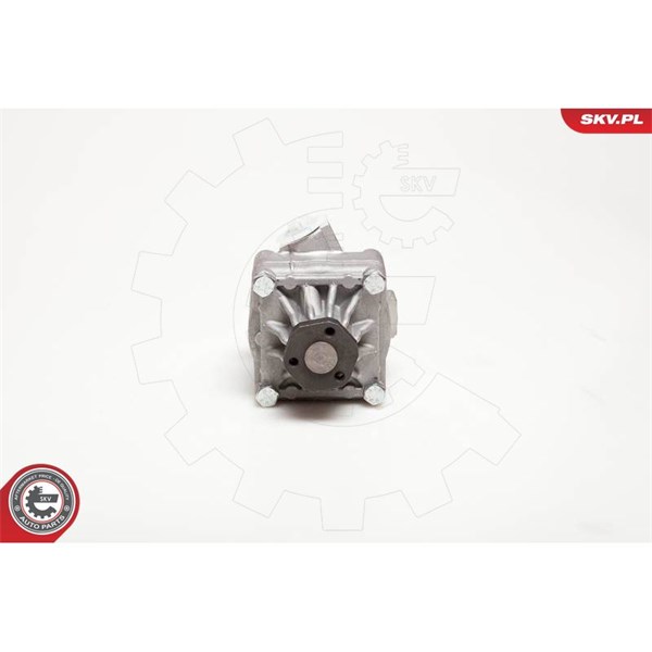 Servopump Esen skv 10SKV017 ESEN SKV Servopump Esen skv 10SKV017 ESEN SKV