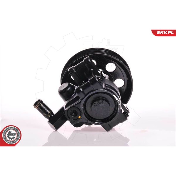 Servopump Esen skv 10SKV019 ESEN SKV