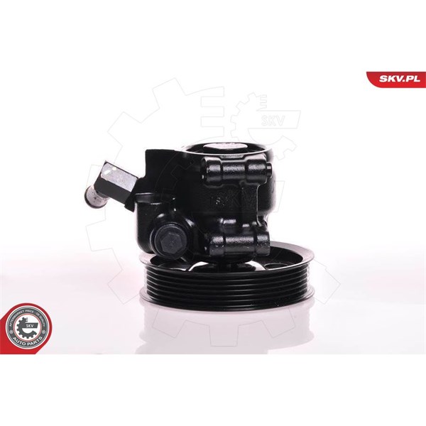 Servopump Esen skv 10SKV019 ESEN SKV