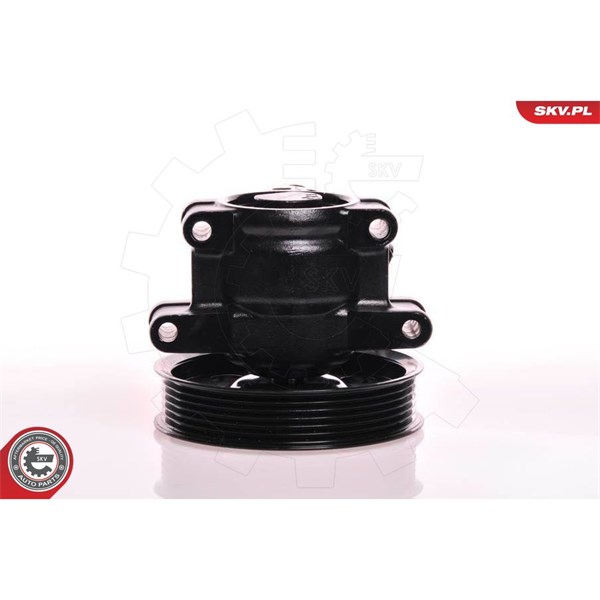 Servopump Esen skv 10SKV019 ESEN SKV
