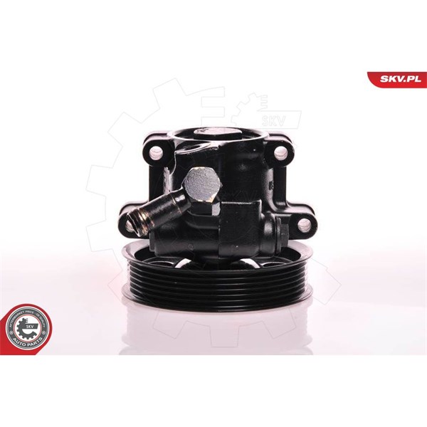 Servopump Esen skv 10SKV019 ESEN SKV